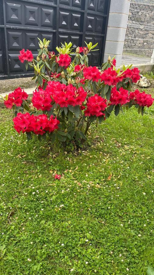 库迪列罗Elrosal2公寓 外观 照片